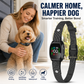 🐕 Collare Antiabbaio Intelligente per Cani – Rilevamento Intelligente, Ricaricabile e Impermeabile IP67 🔋💧