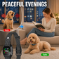 🐕 Collare Antiabbaio Intelligente per Cani – Rilevamento Intelligente, Ricaricabile e Impermeabile IP67 🔋💧