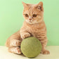 🐱🌿 PALLA GIGANTE DI ERBA GATTA NATURALE 10 cm – 50% DI SCONTO! Giocattolo da Masticare per Gatti, Interattivo alla Menta, Allevia lo Stress e Pulisce i Denti! 🧶✨