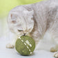 🐱🌿 PALLA GIGANTE DI ERBA GATTA NATURALE 10 cm – 50% DI SCONTO! Giocattolo da Masticare per Gatti, Interattivo alla Menta, Allevia lo Stress e Pulisce i Denti! 🧶✨
