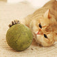 🐱🌿 PALLA GIGANTE DI ERBA GATTA NATURALE 10 cm – 50% DI SCONTO! Giocattolo da Masticare per Gatti, Interattivo alla Menta, Allevia lo Stress e Pulisce i Denti! 🧶✨