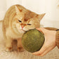 🐱🌿 PALLA GIGANTE DI ERBA GATTA NATURALE 10 cm – 50% DI SCONTO! Giocattolo da Masticare per Gatti, Interattivo alla Menta, Allevia lo Stress e Pulisce i Denti! 🧶✨