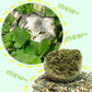 🐱🌿 PALLA GIGANTE DI ERBA GATTA NATURALE 10 cm – 50% DI SCONTO! Giocattolo da Masticare per Gatti, Interattivo alla Menta, Allevia lo Stress e Pulisce i Denti! 🧶✨