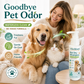 🛁💨 Shampoo in schiuma dry per animali domestici – Senza risciacquo, ideale per pulizie veloci e tra un bagno e l’altro
