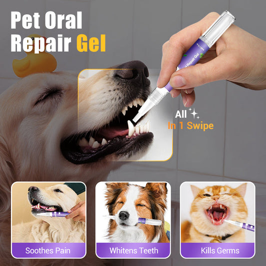🔥 ULTIMO GIORNO – Acquista 1 e ricevi 1 GRATIS 🔥 Spazzolino in gel riparatore per l'alito di cani e gatti 🐱🐶