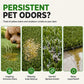🛒🌿 Schiuma detergente per erba artificiale per pet – Rimuove urina, odori e residui. Ordina ora!