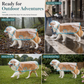 🔥🐕Goitali® Impermeabile Trasparente per Cani – Protezione dalla Pioggia in Tutte le Taglie ✨