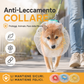 🐕🦺 Basta con le sorprese spiacevoli! Questa museruola in rete traspirante copre l’intero muso: niente più rifiuti stradali, insetti morti o pietre. Regolabile e leggera.