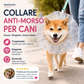 🐕🦺 Basta con le sorprese spiacevoli! Questa museruola in rete traspirante copre l’intero muso: niente più rifiuti stradali, insetti morti o pietre. Regolabile e leggera.