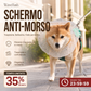 🐕🦺 Basta con le sorprese spiacevoli! Questa museruola in rete traspirante copre l’intero muso: niente più rifiuti stradali, insetti morti o pietre. Regolabile e leggera.