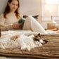 🎉 Goitali® Cuccia Auto-Riscaldante per Animali – Calore Naturale e Comfort Tutto l'Anno 🐾✨