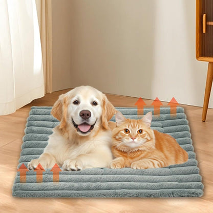 🎉 Goitali® Cuccia Auto-Riscaldante per Animali – Calore Naturale e Comfort Tutto l'Anno 🐾✨